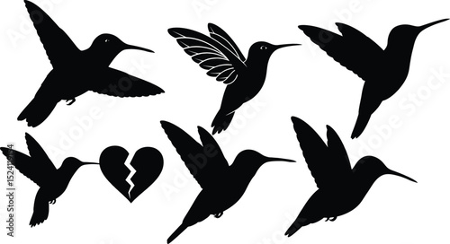 Hummingbird and Broken Heart Silhouettes - Vector Set ,Hummingbird and Broken Heart Silhouettes,Hummingbird vector bundle