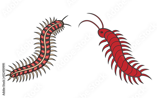 Bristle worm bundle set design isolated on white background  and illustrator eps 10
