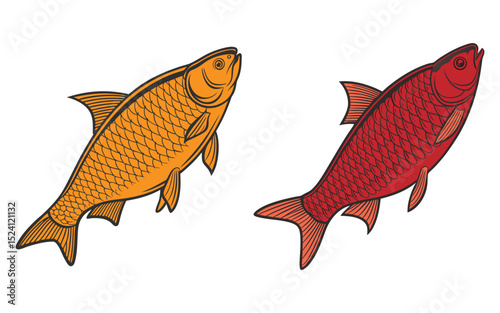 Bream fish  bundle set design isolated on white background  and illustrator eps 10