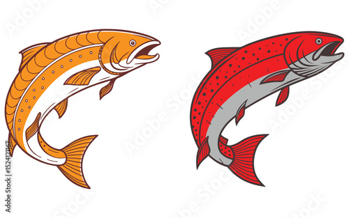 Salmon fish  bundle set design isolated on white background  and illustrator eps 10