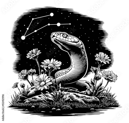 Detailed Engraving of a Snake Surrounded by Flowers Under Starry Sky