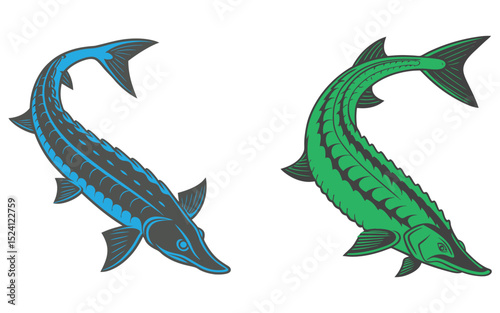 Sturgeon fish bundle set design isolated on white background  and illustrator eps 10