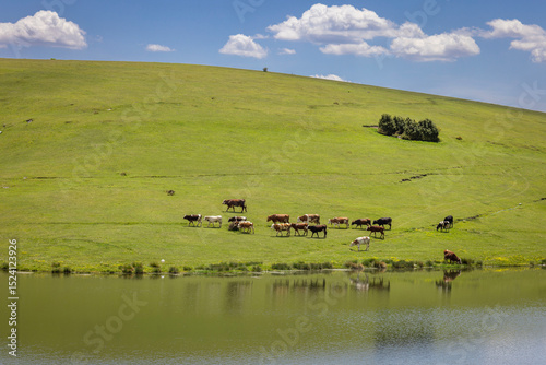 Turkey's camping plateau Sultanpinar, people having picnic and wonderful sunset in the background and the sun reflecting on the lake