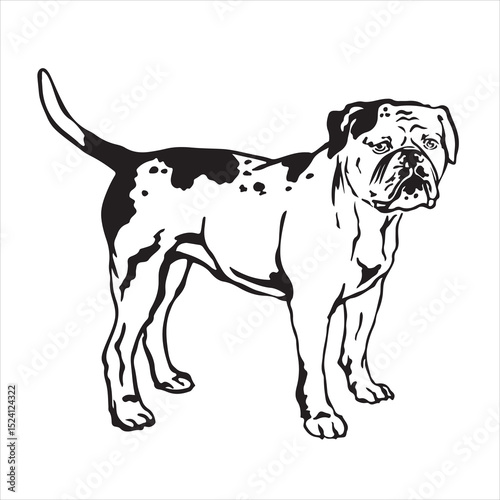 Decorative portrait of standing in profile America color dog