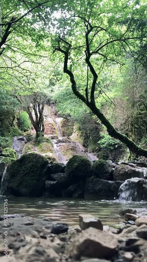 Cascada de río en el bosque. Selva de Irati. Cascada del cubo
