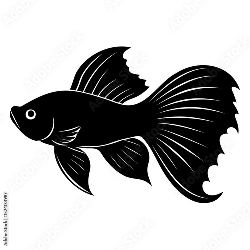 Betta fish silhouette vector illustration on transparent background