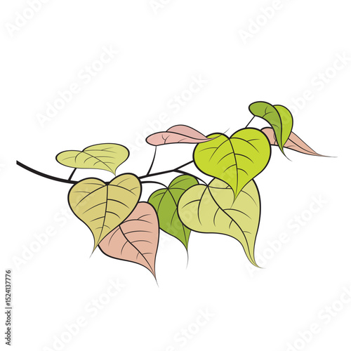 tree branch with leaves isolated on white vector art