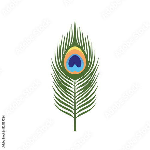 Single elegant peacock feather isolated on white