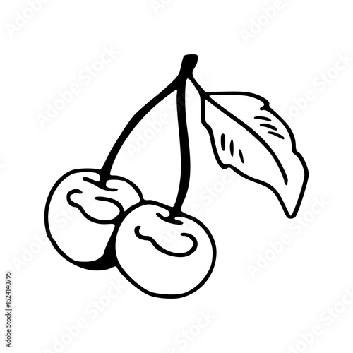 sweet cherries with leaf vector outline