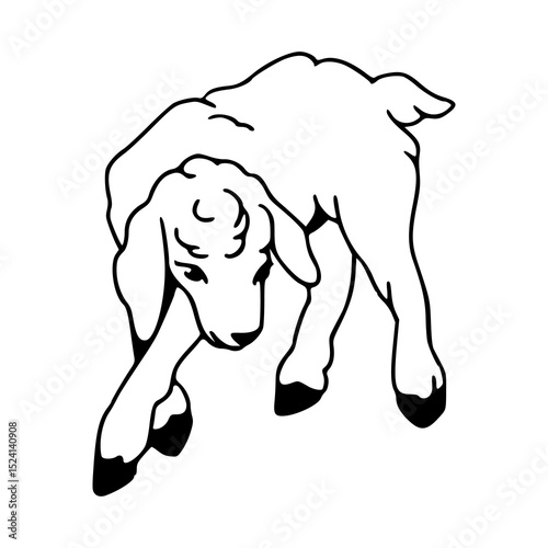 lamb with woolly fleece line art