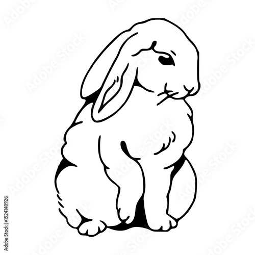 cute sitting rabbit vector illustration