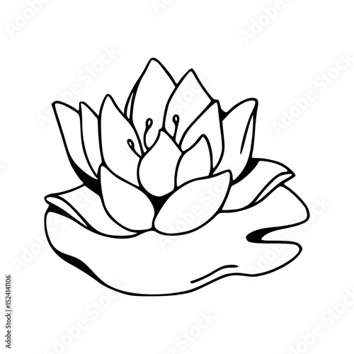 elegant lotus flower on lily pad line art