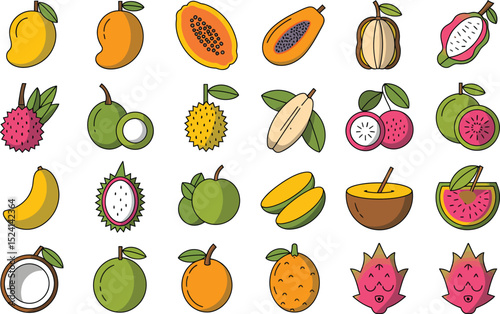 Colorful illustration of tropical fruit varieties collection isolated on white background