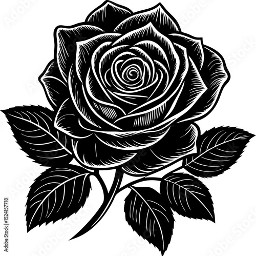 Elegant black and white rose vector illustration with intricate linework detailing its beautiful petals and leaves.
