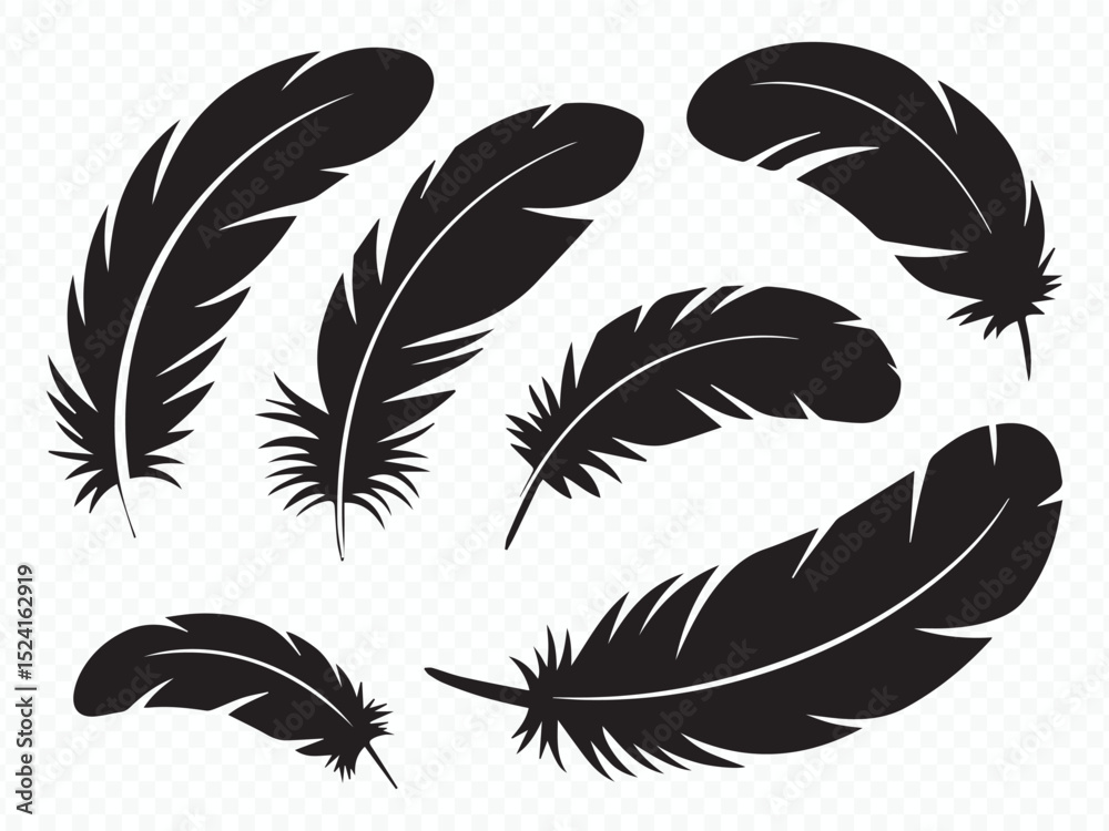 Obraz premium Black feather silhouettes collection for quill and bird designs Vector