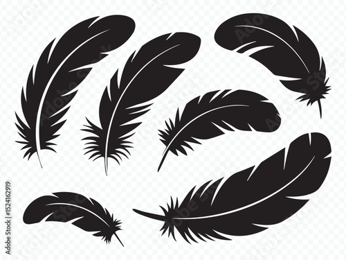 Black feather silhouettes collection for quill and bird designs Vector