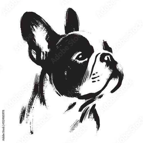 French bulldog head close-up ink brush vector illustration