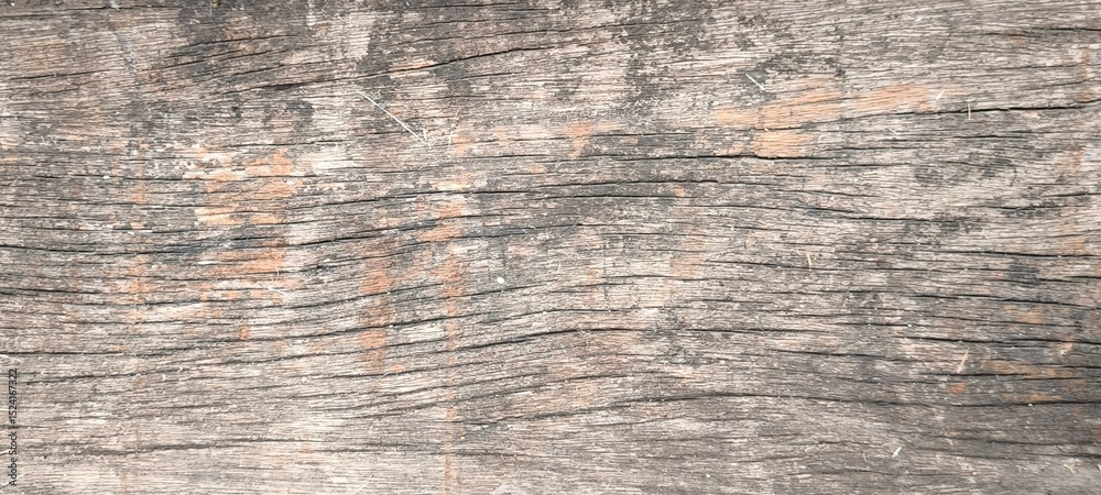 Fototapeta premium Old wood texture for background. Natural old wood texture.