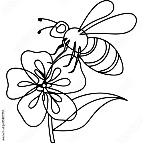 Bee pollinating flower. Detailed line art drawing of honeybee on blossom.  Elegant nature illustration perfect for logo design, greeting card, or decorative element for spring themed projects.