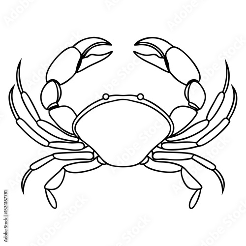 Detailed crab illustration with large claws and prominent legs. This detailed crab drawing shows strong claws and a defined carapace.