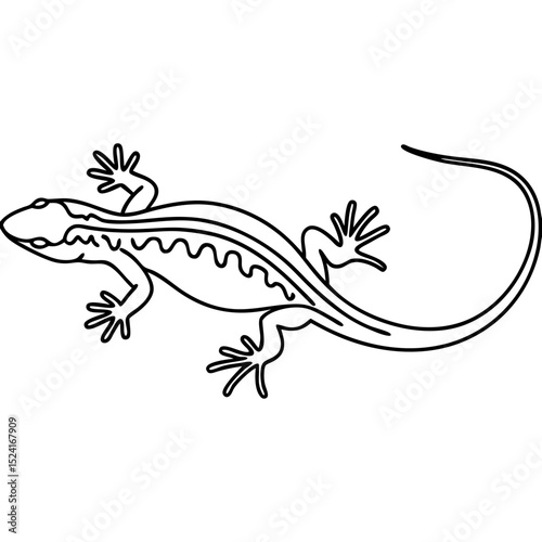 Detailed lizard drawing, reptile illustration with striped back, long tail, and clawed feet.  This intricate lizard sketch is perfect for educational materials, nature guides, or zoological projects.