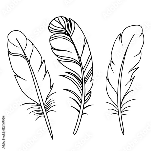 Three stylized parrot feathers design. Detailed line art parrot feathers illustration perfect for crafting projects and digital design. Elegant parrot feather graphics for invitations, logos,