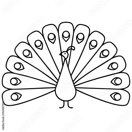 Elegant peacock with fully spread tail feathers. Detailed drawing of indian peafowl Pavo cristatus shows graceful bird in full plumage. This simple line art design is perfect for textile prints,