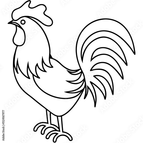 Rooster illustration line art. Detailed rooster drawing with prominent comb and long tail feathers. Simple rooster image perfect for farm designs, children's books,