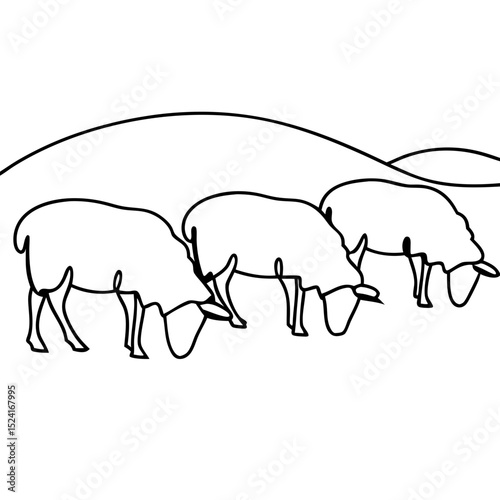 Sheep grazing peacefully on rolling hills. Fluffy sheep calmly eating grass in idyllic pastoral scene. Line art illustration perfect for farm designs, greeting cards, and educational materials.