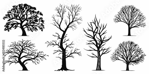 Collection of Silhouette Trees Bare Branches, Winter Landscape Illustrations