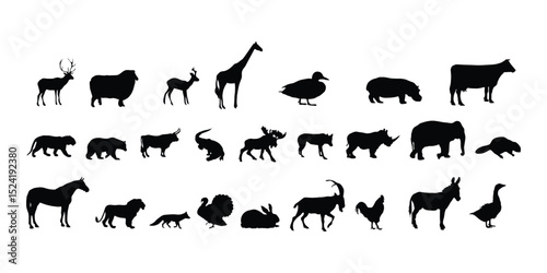 Horse, Cow, Goose, Rabbit, Adventure, Alligator, Ancient, Animals, Antique