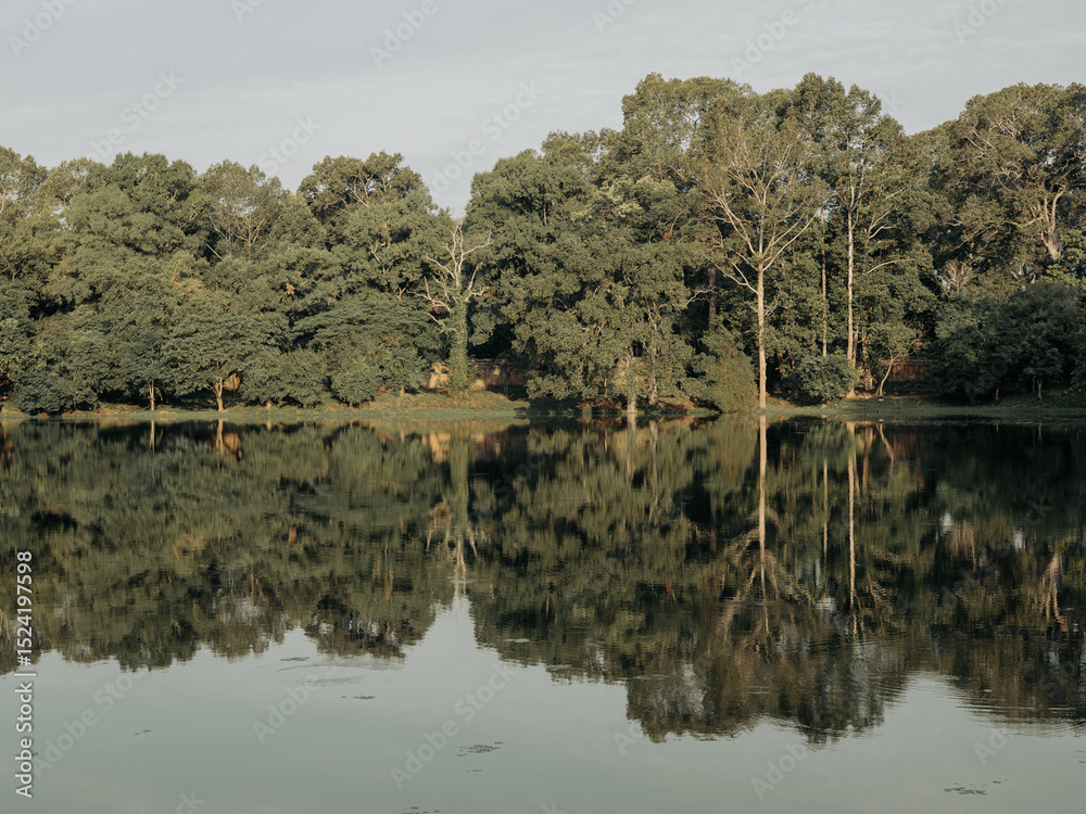Fototapeta premium Ancient temples of the abandoned city of Angkor, near the city of Siem Reap, Cambodia