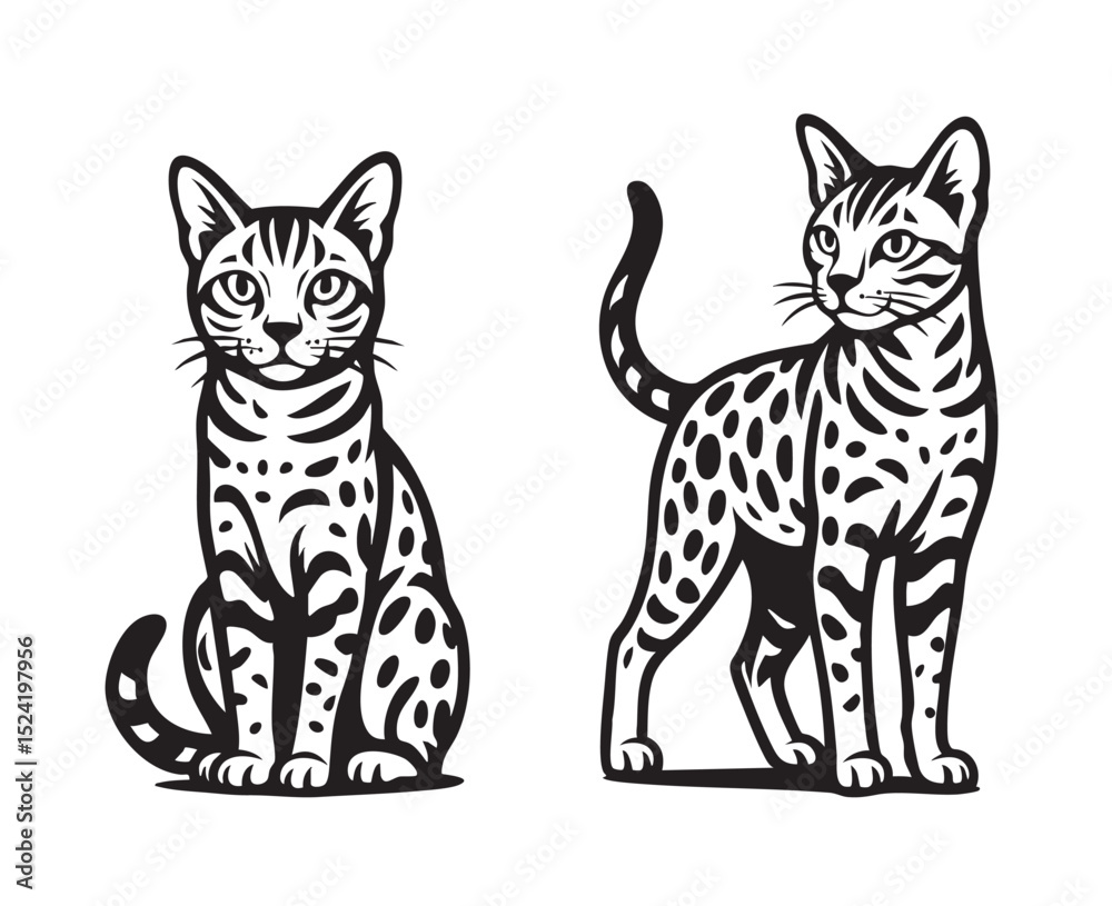 Fototapeta premium Black and white vector illustration of two Serengeti cats in sitting and standing poses, showcasing their spotted fur and elegant body shape. Pet.