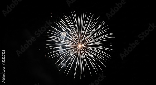 Striking fireworks burst illuminates the night sky, showcasing symmetrical trails against darkness.