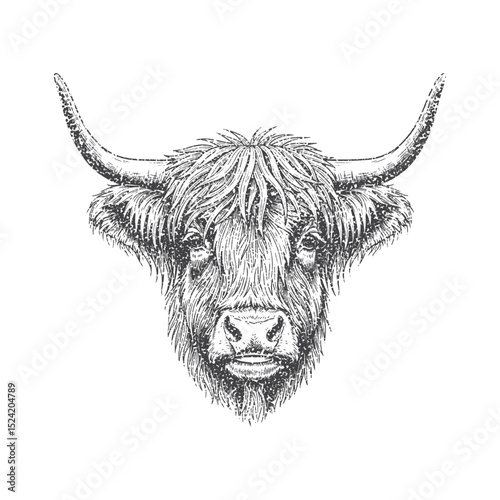 Highland Cow Head with retro photocopy stipple effect, for grunge design. Vector illustration in vintage halftone brutalist design for banner or poster