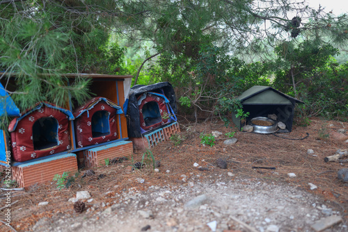 Fototapeta Naklejka Na Ścianę i Meble -  houses-feeders for animals. Three small constructions with bread for cats and birds among plants in the garden on a sunny summer day