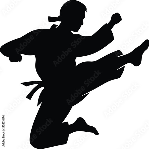 A silhouette of a person in a martial arts stance, jumping with a kick, wearing a uniform and belt