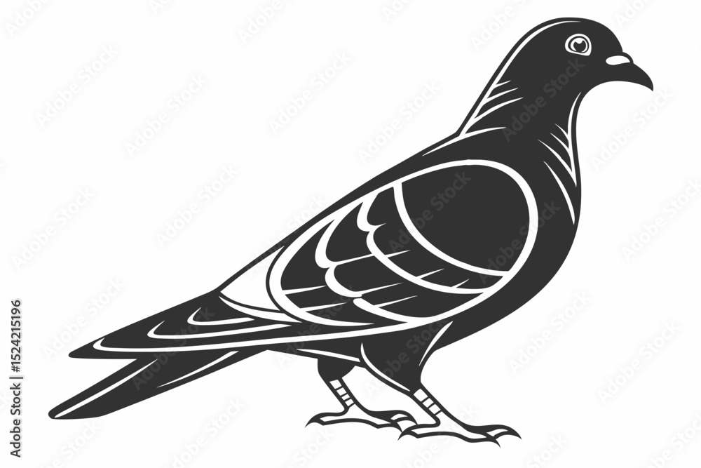 Fototapeta premium pigeon sihouette black vector