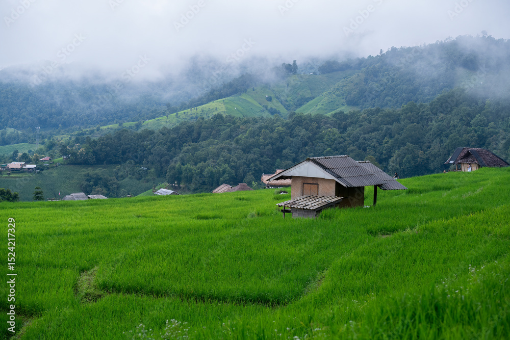 Obraz premium Rural landscape with lush green rice fields and traditional wooden huts nestled in the valley. Mist drifts over distant forested hills, creating a peaceful and refreshing atmosphere.