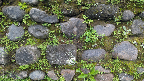 Moss and small plants growing between gray cobblestones, creating a natural, textured pattern
