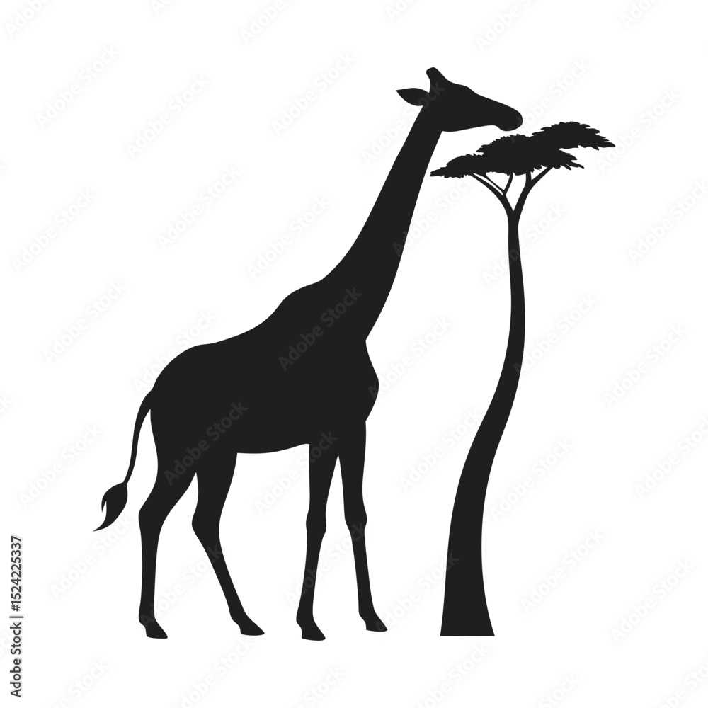 Fototapeta premium giraffe eating from a tall tree vector art