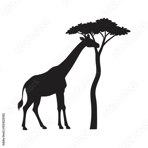 giraffe eating from a tall tree vector art