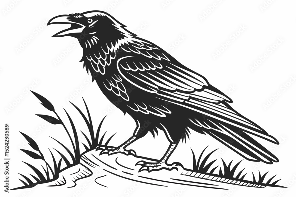Fototapeta premium rook bird sihouette black vector