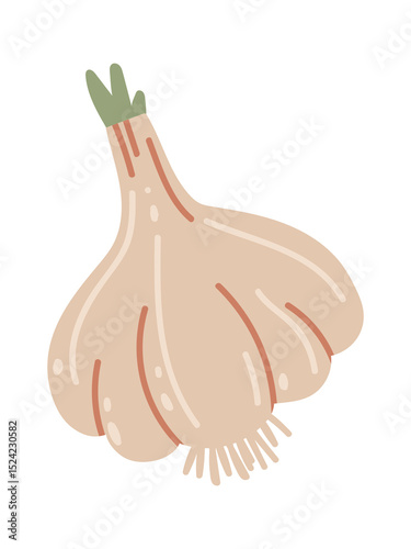 Hand drawn illustration of a whole garlic bulb with roots and a green sprout growing from the top, isolated on a white background, representing healthy eating, cooking, and natural remedies