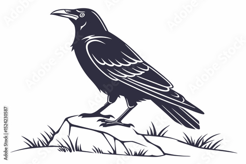 rook bird sihouette black vector