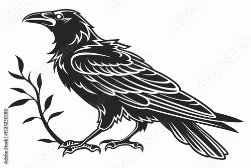 rook bird sihouette black vector