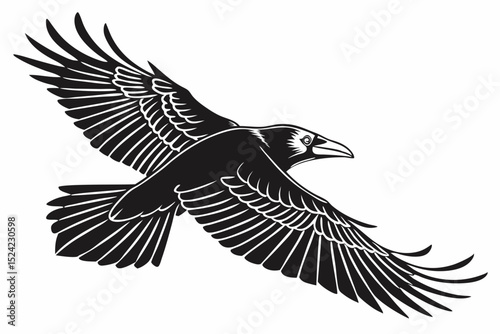 rook bird sihouette black vector