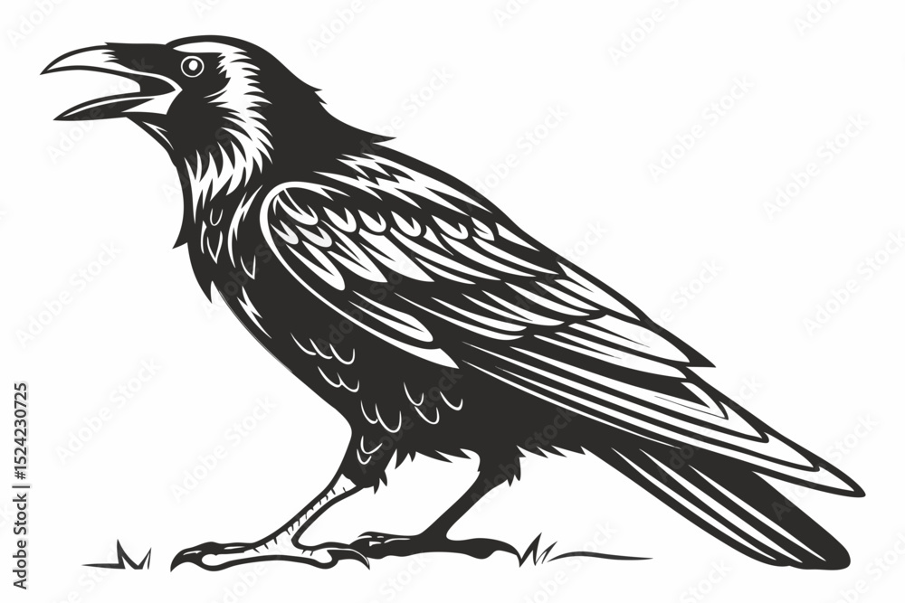 Fototapeta premium rook bird sihouette black vector