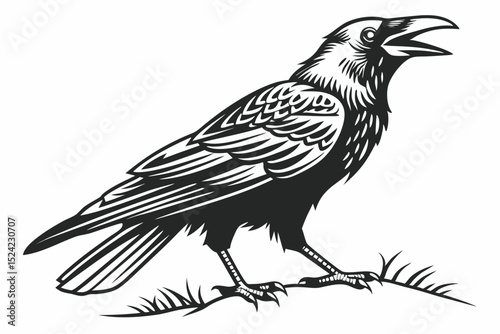 rook bird sihouette black vector