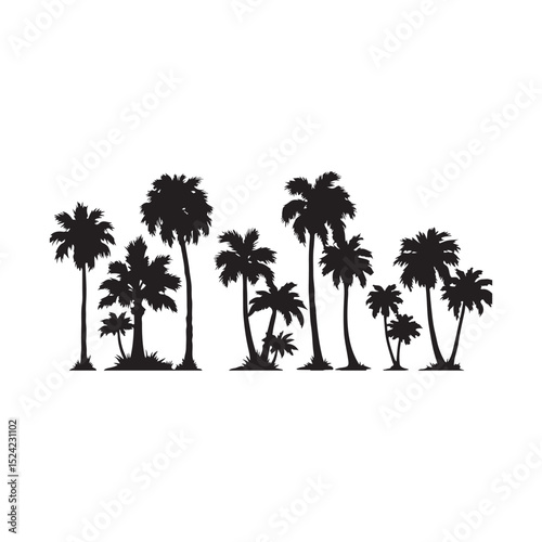 Set of black palm tree silhouettes isolated on white background. Vector illustration.